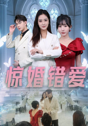 惊婚错爱(30集) 惊婚错爱(30集)1-102集