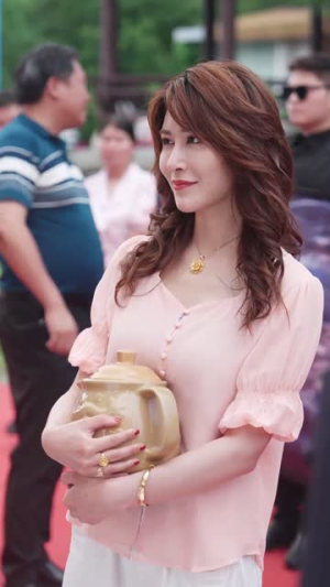 农村里飞出金凤凰(68集) 农村里飞出金凤凰(68集)高分佳作免费看