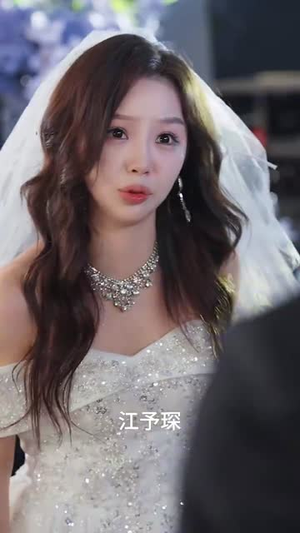 你的朱砂痣（77集）免费版