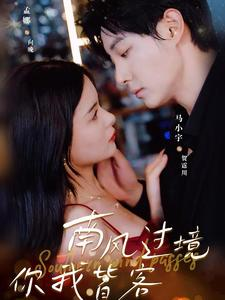 南风国境你我皆客(80集) 南风国境你我皆客(80集)第32集