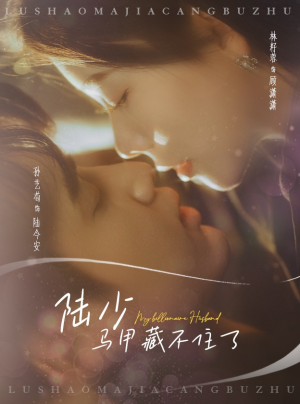 陆少马甲藏不住了（63集）口碑爆棚免费看