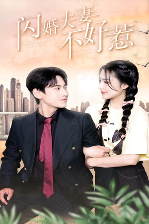 闪婚夫妻不好惹(90集) 闪婚夫妻不好惹(90集)短剧爆款推荐