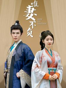 唯妻不负（80集）精彩短剧又来了