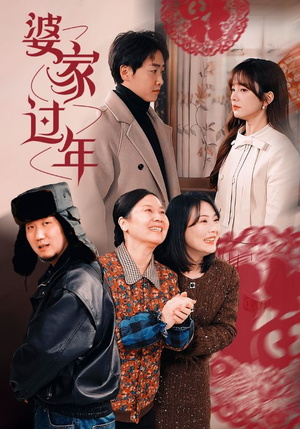 婆家过年（71集）热播短剧分享