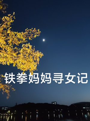 铁拳妈妈寻女记(69集) 铁拳妈妈寻女记(69集)口碑爆棚免费看