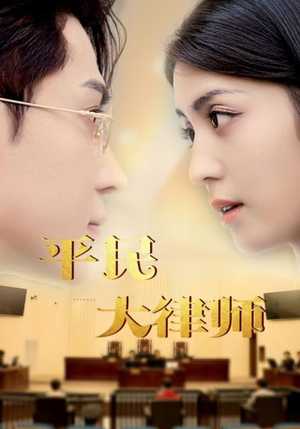 平民大律师（95集）精彩好看短剧