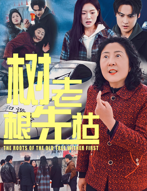 树老根先枯（33集）热播短剧分享