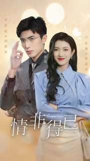 情非得已(60集) 情非得已(60集)演的怎么样