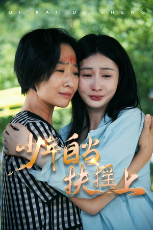 少年自当扶摇上（30集）番茄短剧免费看