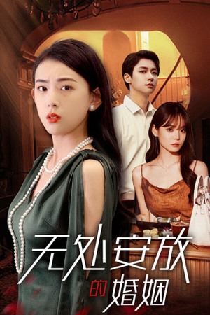 无处安放的婚姻（41集）一共多少集