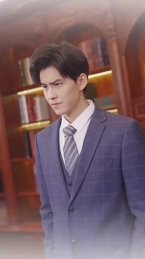 伪装夫妇（71集）第二季