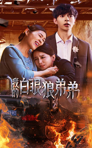 我的白眼狼弟弟(69集) 我的白眼狼弟弟(69集)爱短剧爱追剧