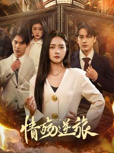 情殇逆旅(90集) 情殇逆旅(90集)高质量短剧推荐