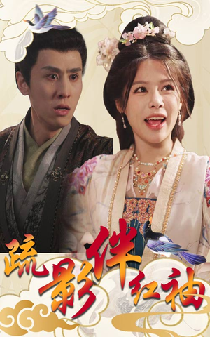 疏影伴红袖(40集) 疏影伴红袖(40集)我真的爱了