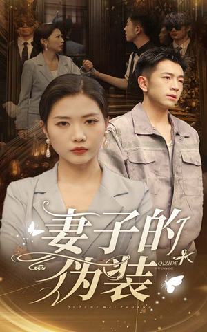 妻子的伪装（30集）免费观看