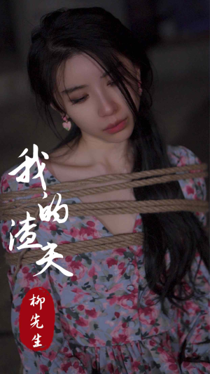 我的渣夫柳先生（80集）短剧免费观看