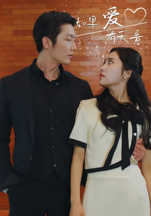 如果爱有天意（80集）短剧精彩不断