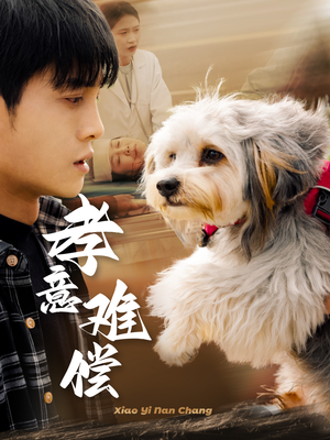 孝意难偿（32集）短剧小说在线看