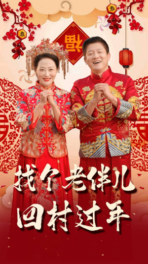 找个老伴儿回村过年（58集）短剧后续更精彩