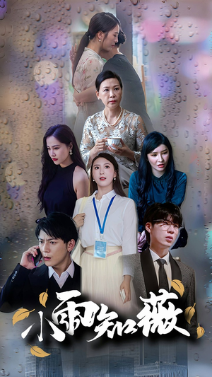 小雨知薇(80集) 小雨知薇(80集)解说文案