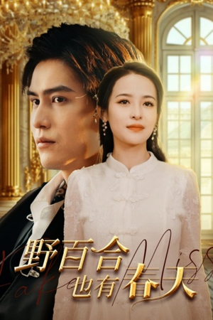 野百合也有春天(85集) 野百合也有春天(85集)短剧越看越精彩