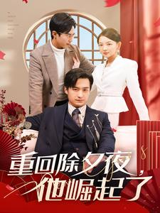 重回除夕夜他崛起了（89集）短剧热门合集