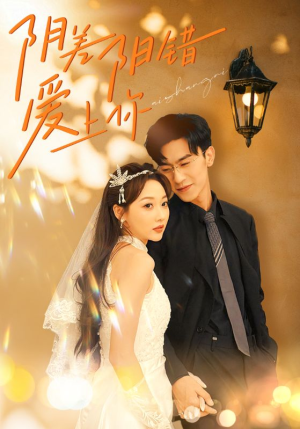 阴差阳错爱上你（62集）最后的大结局