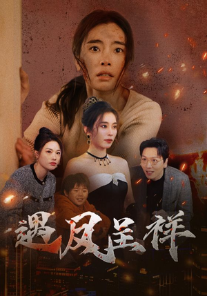 遇凤呈祥（50集）在哪个平台能看