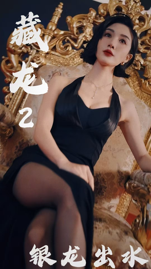 藏龙2银龙出水（35集）口碑之选免费看