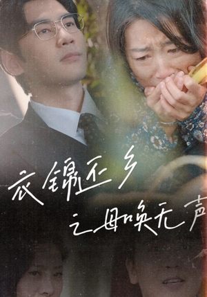 衣锦还乡之母唤无声（60集）爱上了这部剧了