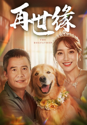 再世缘（41集）热门短剧分享