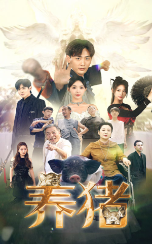 养猪（74集）全剧看到大结局