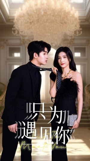 只为遇见你（88集）高清无码免费看