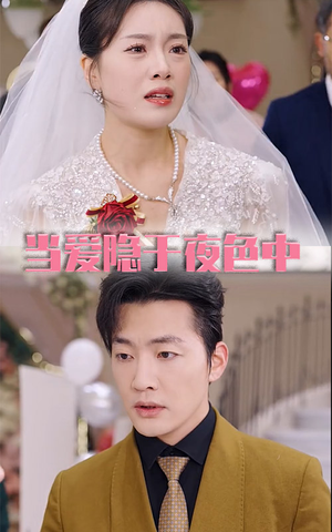 当爱隐于夜色中（37集）精彩短剧看全集