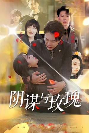 阴谋与玫瑰（31集）海量资源免费看