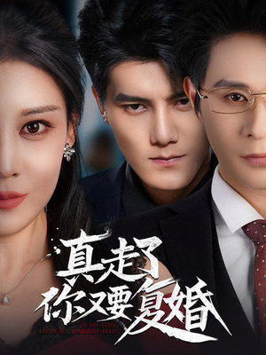 真走了你又要复婚（60集）红果免费看短剧