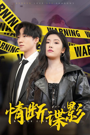 情断谍影(30集) 情断谍影(30集)短剧介绍