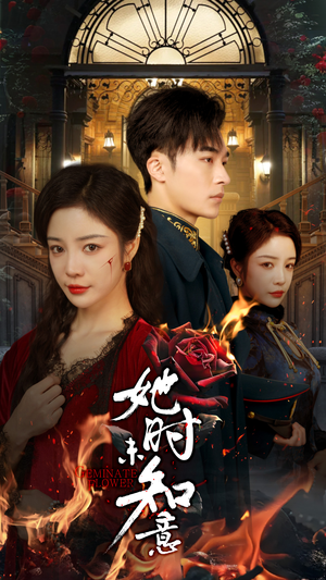 她时未知意（70集）精彩短剧来了