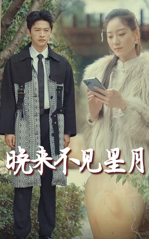 晚来不见星月(40集) 晚来不见星月(40集) 评价怎么样