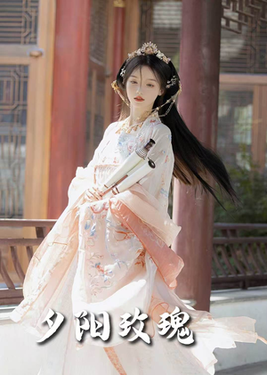 夕阳玫瑰（105集） 全集一网打尽