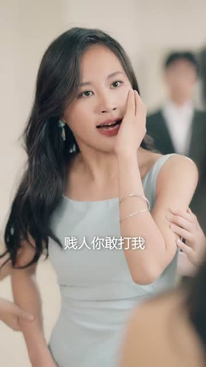 大盗亦有道(52集) 大盗亦有道(52集) 简直不要太好看