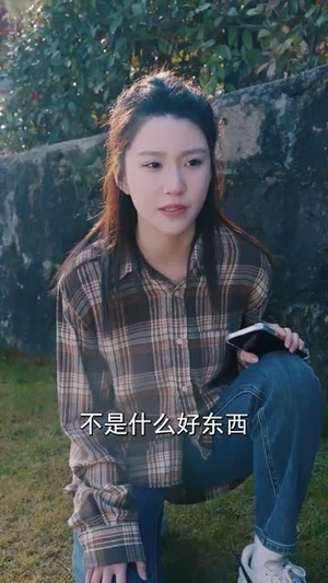 引凤还巢（100集） 解说