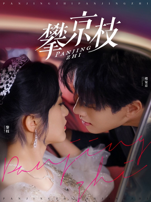 攀京枝（80集） 爆款短剧一起追