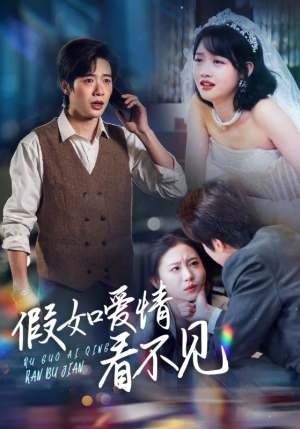 假如爱情看不见(55集) 假如爱情看不见(55集) 零花钱看整部剧