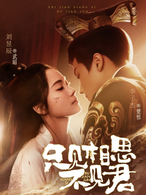 只见相思不见君（82集） 热播短剧推荐