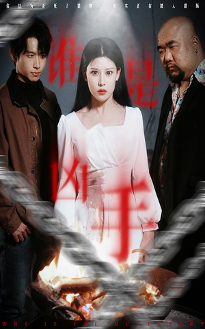 谁是凶手（31集） 免费版