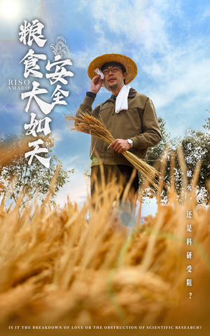 粮食安全大如天（43集） 爆款短剧抢先看