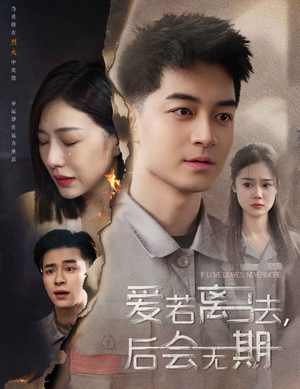 爱若离去,后会无期(70集) 爱若离去,后会无期(70集)熬夜追短剧
