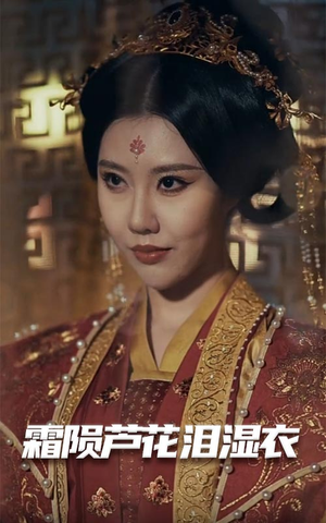 霜陨芦花泪湿衣（60集） 高清画质免费看