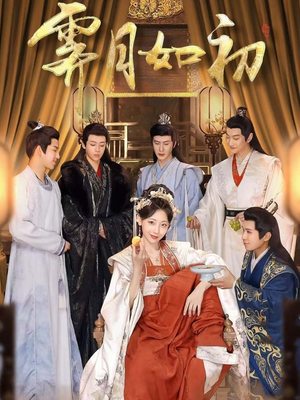 霁月如初(92集) 霁月如初(92集) 全剧看到大结局